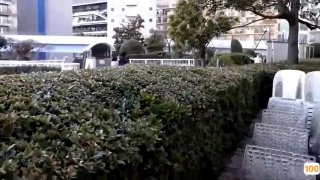 未成年禁入,tpzp国产一区二区在线,海量高清AV在线看